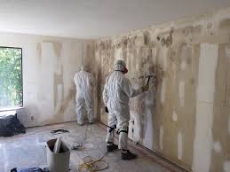 Best Mold Odor Removal Services  in Malabar, FL